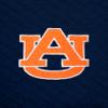 Vantage Apparel Diamond Quilted Vest, Auburn Tigers, M view 4
