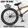 cubsala Freestyle BMX Bike, 20 Inch Yaphet Bicycle for Teen Beginner Adult Riders, Bike with 360 Rotating Handlebar and 4 pegs, Gold view 3