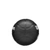 Wilson NBA Team Tribute Mini view 4
