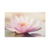 Lily Sport Towel - Lily Design Items - Bathroom Gifts view 1