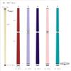 Champion Cerberus and Eros Series Heavy Hitter Jump Break Cue - 19-26 oz 3 Piece Pool Stick for Explosive Breaks and Effortless Jumps (TF-3 Blue, 25oz) view 2