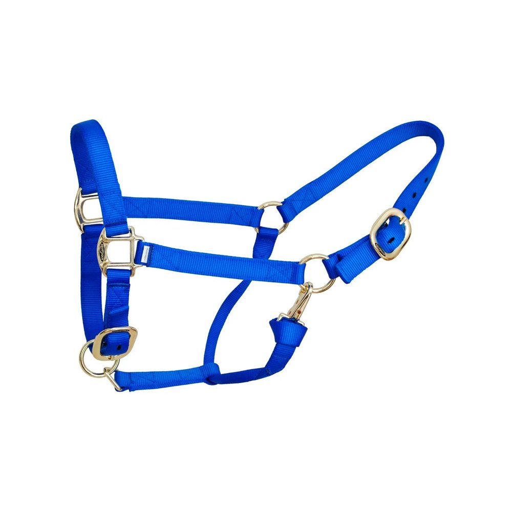 Reinsman Deluxe Nylon Adjustable Throat & Nose 1" Durable Brass Hardware Comfortable Double Triple Ply Classic Everyday Horse Riding Leading Strap Halter, Small, Royal Blue