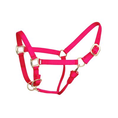 Reinsman Deluxe Nylon Adjustable Throat & Nose 1" Durable Brass Hardware Comfortable Double Triple Ply Classic Everyday Horse Riding Leading Strap Halter, Horse, Pink