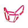 Reinsman Deluxe Nylon Adjustable Throat & Nose 1" Durable Brass Hardware Comfortable Double Triple Ply Classic Everyday Horse Riding Leading Strap Halter, Horse, Pink view 1