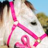Reinsman Deluxe Nylon Adjustable Throat & Nose 1" Durable Brass Hardware Comfortable Double Triple Ply Classic Everyday Horse Riding Leading Strap Halter, Horse, Pink view 2