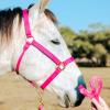 Reinsman Deluxe Nylon Adjustable Throat & Nose 1" Durable Brass Hardware Comfortable Double Triple Ply Classic Everyday Horse Riding Leading Strap Halter, Horse, Pink view 4