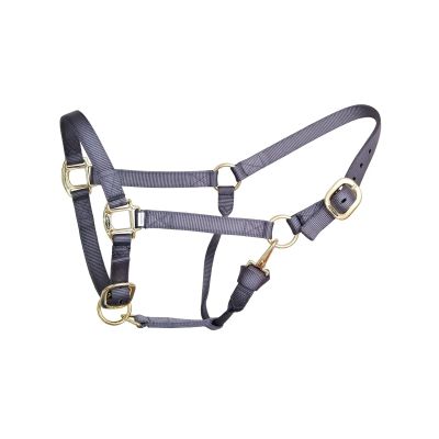 Reinsman Deluxe Nylon Adjustable Throat & Nose 1" Durable Brass Hardware Comfortable Double Triple Ply Classic Everyday Horse Riding Leading Strap Halter, Weanling, Grey