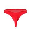 Ctreela Ice Silk Elephant Nose Panties for Men Long Pouch Hip Briefs Low Rise Male Lingerie Adult Honeymoon Gift for Sex Red view 1