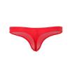 Ctreela Ice Silk Elephant Nose Panties for Men Long Pouch Hip Briefs Low Rise Male Lingerie Adult Honeymoon Gift for Sex Red view 3