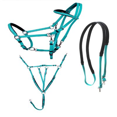 CHALLENGER PVC Endurance 3-Piece Set Halter Bridle Combo Breast Collar Reins 40MIB01TR
