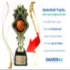 Sports Trophy Award with Engraved Plate - Team or Individual Trophies for Kids and Adults: Chooses from: Football, Basketball, Baseball, Soccer or Hockey (Basketball) view 2