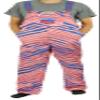 Zubaz NFL Men's Zebra Bib Overalls with Scattered Logo Liner, Bills Mafia, XX-Large view 1