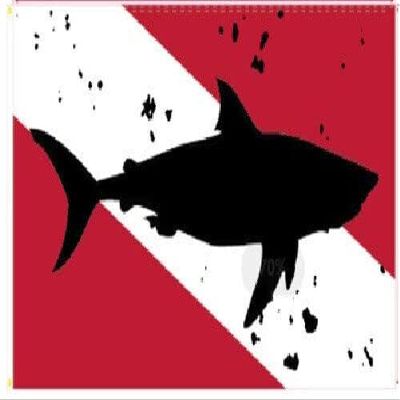 Ant Enterprises 12X18 Diver Down SHARK 100D Woven Poly Nylon RED WHITE CAR BOAT Flag Banner