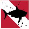 Ant Enterprises 12X18 Diver Down SHARK 100D Woven Poly Nylon RED WHITE CAR BOAT Flag Banner view 1
