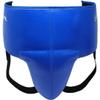 RIVAL Boxing RNFL3 Pro 180 No-Foul Groin Protector - Sleek Design, Comfortable Inner Lining, and 15mm of Medium-Density Padding view 2