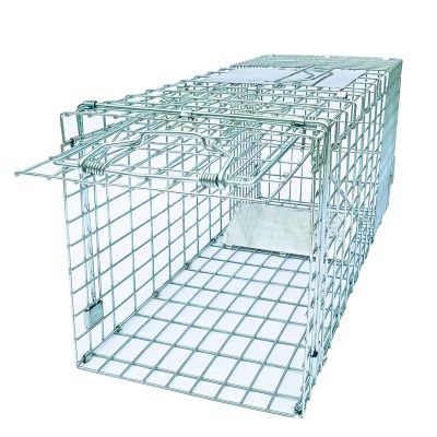 26" Folding Collapsible Humane Live Animal Cage Trap No-Kill Trapping Kit for Humane Catch Release Rodent Rabbits, Stray Cat, Squirrel, Raccoon, Opossum, All Fit Sized Animals, 2-Door Heavy Duty