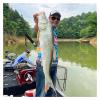 SUNMME Foldable and Retractable Fishing net Portable Carp Fishing Landing Net Aluminum Alloy Frame Small Rubber Mesh Fly Fishing Net Easy to Carry and Storage view 4