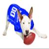 NCAA College University of Kentucky Wildcats Mesh Jersey for Dogs & Cats, Small. Licensed Big Dog Jersey with Your Favorite Football/Basketball College Team (Pack of 2) view 2