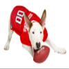 NCAA College Nebraska Huskers Mesh Jersey for Dogs & Cats, Medium. Licensed Big Dog Jersey with Your Favorite Football/Basketball College Team (Pack of 2) view 2
