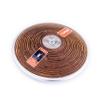 HAEST Polanik Discus - 2.2 kg - Malachowski Training Discus - Athletics Throwing Discus view 1