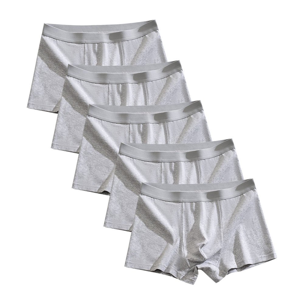 Maiyifu-GJ Men's Solid Colour Moisture-Wicking Underwear Athletic Soft Boxer Briefs Breathable Cotton Trunks (Gray 20 5PC,Large)