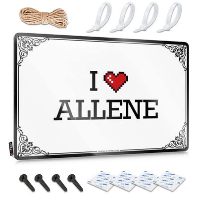 Abipuir Door Mat Outdoor Entrance Funny I Love Allene Tin Sign Desk Decor for Men Patio Decorations Outdoor (Color : Colour, Size : 20X30CM)