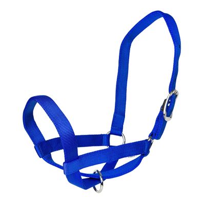 Gatsby Nylon Cattle Halter XL Blue