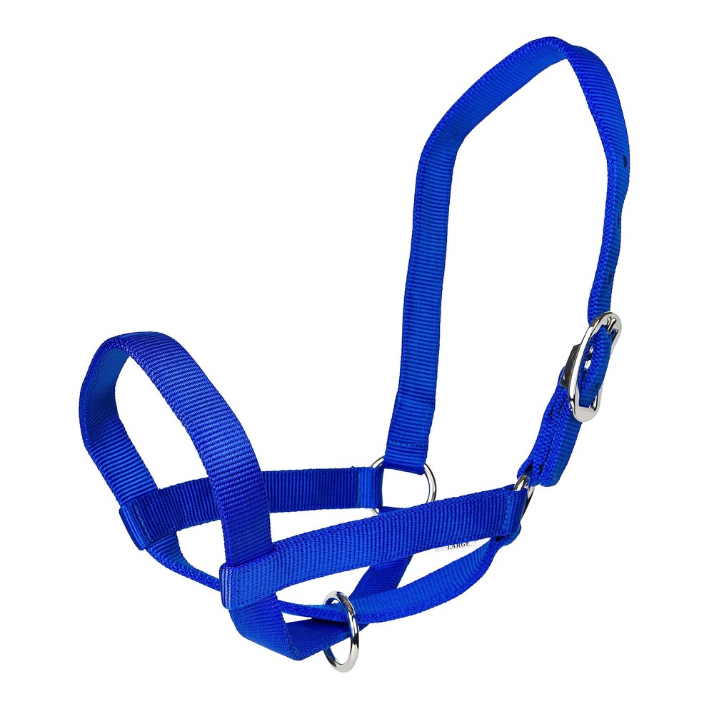 Gatsby Nylon Cattle Halter XL Blue