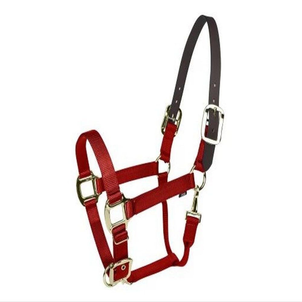 Gatsby Gold Nylon Breakaway Halter Pony Red