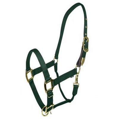 Gatsby Gold Safety Breakaway Halter Pony Hunter