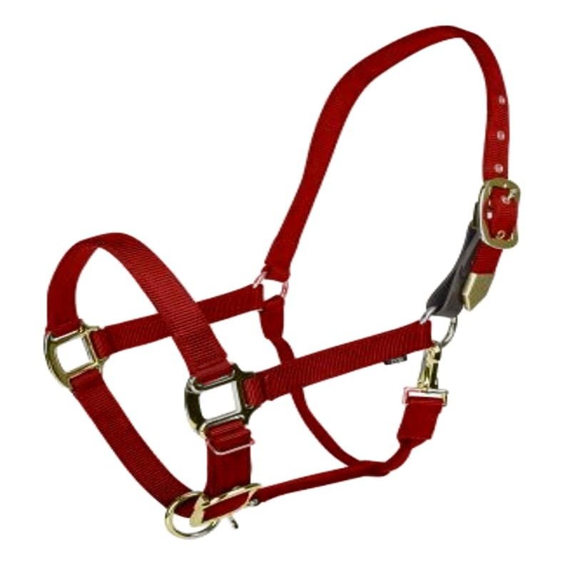 Gatsby Gold Safety Breakaway Halter Horse Red