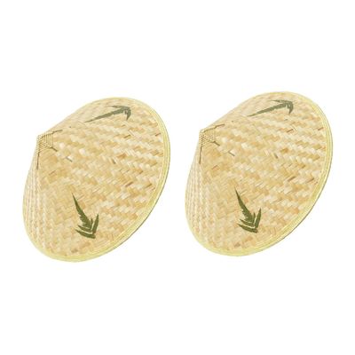 OATIPHO 2pcs Hat Straw Hat Kids Clothes Vietnamese Arts and Crafts for Kids Home Decor Kid Sun Hat Summer Clothing Funny Child Household Weaving Fishing Accessories