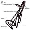 ExionPro Exion English Jumping Bridle with Flash  Soft Lined Crownpiece, Brass Clincher Studded Browband, Flash Noseband, Rubber Reins  Black & Brown  Premium Vegetable-Tanned Leather view 3