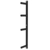 GONCBKVN Steel Wall Mount Weight Plate Holder, Home and Commercial Gym 2 Inch Barbell Plate Rack, Olympic Weight Plate Storage Rack (Color : Black, Size : 4 Layer) view 1