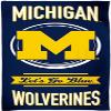 Boelter Brands Licensed NCAA Collegiate Fan Bundle Includes Water Bottle and Beach Towel (Michigan Wolverines Circle) view 2