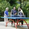 Portable Ping Pong Robot, Table Tennis Ball Machine with Recycling Nets, Tabletop Tennis Practice, Adjustable Rotation Direction, for Ping-Pong Practicing Training(No Ball) view 2