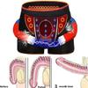 POCHY Men Pants 3/6-Packs Magnetic Therapy Health Care Underwear Elastic Tourmaline Panties Enlargement Boxer Briefs (Color : 3pcs-Black, Size : 3X-Large) view 4