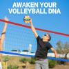 GOOX 4 Square Volleyball Net Game Set, 14 FT 4-Way Volleyball Net for Backyard Beach Lawn, Portable Four Square Volleyball Net for Adults & Youths with Vollyball, Pump, Carry Bag(red and Blue) view 3