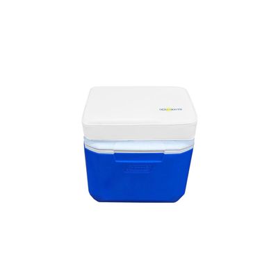 Boat Cooler Seat Cushions (White, 9.5 x 15)