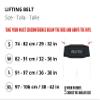 Velites I Lumbar Weight Lifting Belt I Weight Lifting Belt I Unsurpassed Support and Comfort I Ideal for Deadlifts, Squats, Lifts. view 3