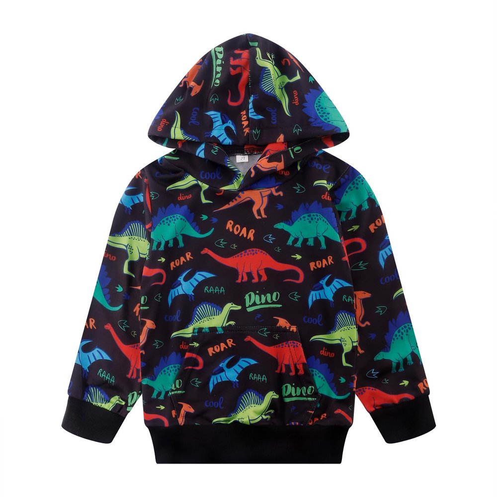 Akyzic Baby Boy Dinosaurs Hoodie Boy Girls Dino Pullover with Pocket Kids Warm Sweatshirt 2-7Years Dinosaurs-8221-4T