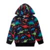 Akyzic Baby Boy Dinosaurs Hoodie Boy Girls Dino Pullover with Pocket Kids Warm Sweatshirt 2-7Years Dinosaurs-8221-4T view 1