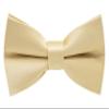 Carahere Pre-Tied Little Boy's Polka Dot Bow Ties Baby Solid Color Bow Ties For Kids M012 Champagne