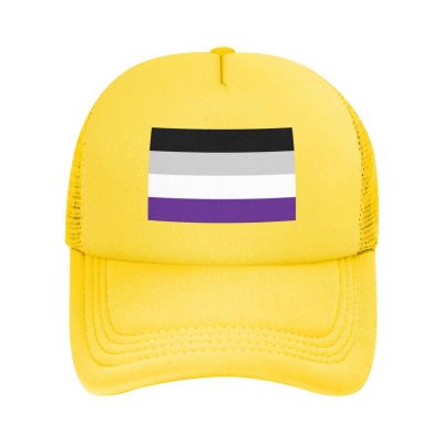 Asexual Pride Flag LGBTQ Solid Mesh Baseball Cap Exudes Charm