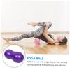 BESPORTBLE Exercise Yoga Ball for Boy Girl Balance Stability Trainer for Sensory Training Durable Fitness Ball with Pump for Home Workouts and Physical Therapy view 4