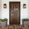 Funny Room Decor Come Back When You Have Tacos and Booze Mat Fall Outdoor Mats for Front Door Holiday Rug (Size : 50X80CM) view 2