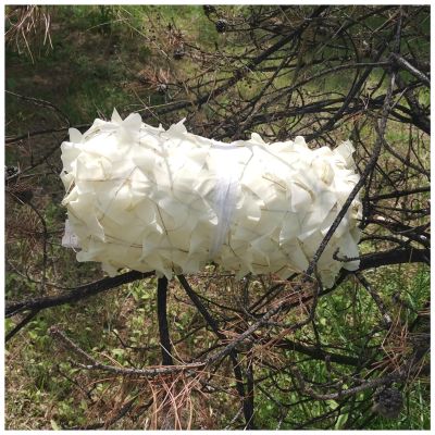 AITAF Woodland Military Army Hunting Camping Tent Ghillie Suits Car Cover Camouflage Net Netting for Sunshade 1m 2m 3m 4m 5m Paintball (Size : 1m x 3m)