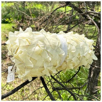 AITAF Garden Shade Netting Outdoor 1m 2m 3m 4m 5m Beige Army Camo Camouflage Car Tent Net Camping Hiking Hunting Awning Net (Size : 2m x 3m)
