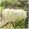 AITAF Garden Shade Netting Outdoor 1m 2m 3m 4m 5m Beige Army Camo Camouflage Car Tent Net Camping Hiking Hunting Awning Net (Size : 2m x 3m)