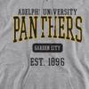 Adelphi University Official Est. Date Unisex Adult Pull-Over Hoodie, Athletic Heather, 3X-Large view 2